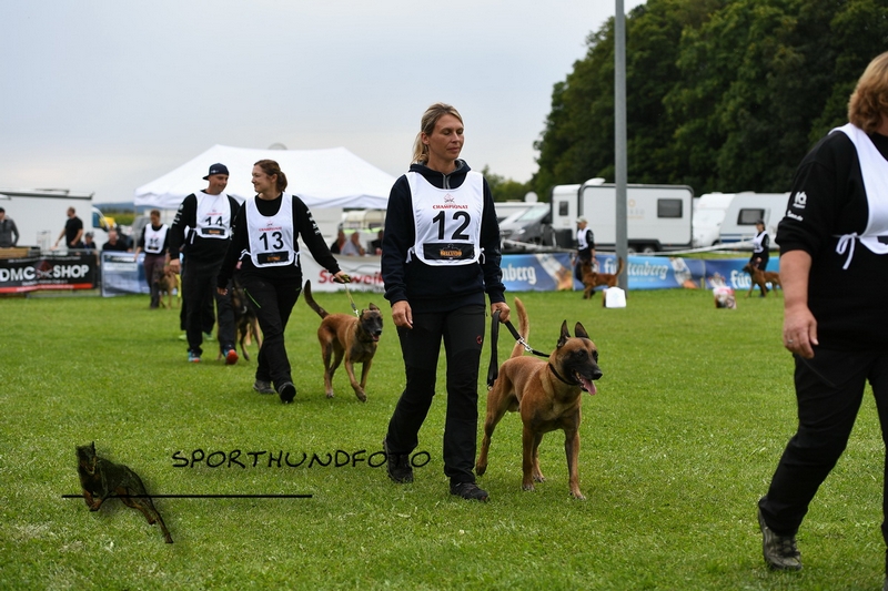 Impressionen 664.jpg